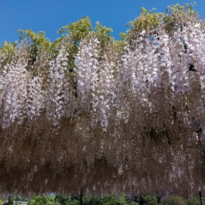 05kab21's profile picture. 