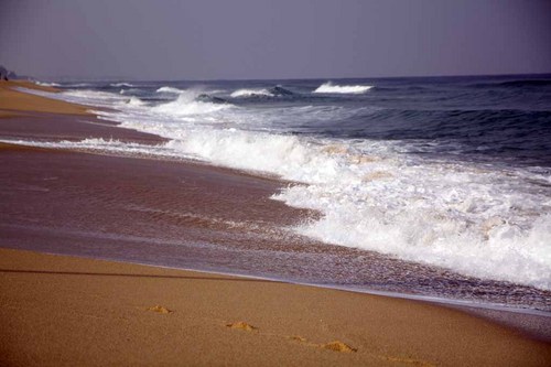 redwebing's profile picture. 20 years specializing in hand-made ​​leather goods brand