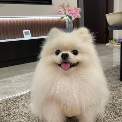 Shepcszuela's profile picture. ロンドン・スクール・オブ・エコノミクスを卒業しました。新興通貨への投資、フィットネスとヨガ、ハイキングと水泳、車と食べ物、旅行と読書が好きです。ツイートは英語と日本語で随時更新します。日本語の勉強中で、日本旅行の計画も立てています。