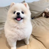 Ina (@chaseaudhry) 's Twitter Profile