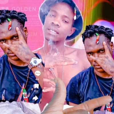 TangaraOus94889's profile picture. 