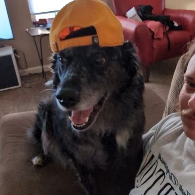 JoseMattle15's profile picture. 