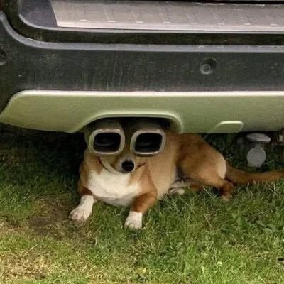 Boomed_001's profile picture. Am lucky and am blessed