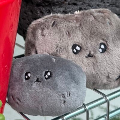 gxxdkk's profile picture. 돈미새 각자도생 생물학적 여성