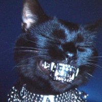 Blabiz (@blabizz) 's Twitter Profile