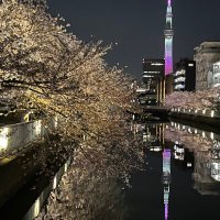 ta (@yshymmt) Twitter profile photo