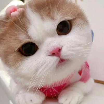 Isaiabrnard's profile picture. ロンドン・スクール・オブ・エコノミクスを卒業しました。新興通貨への投資、フィットネスとヨガ、ゴルフと水泳、車と食べ物、旅行と読書が好きです。ツイートは英語と日本語で随時更新します。誰か私の日本語の練習を手伝ってくれると嬉しいです。日本旅行の予定です。