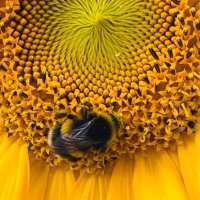 Mike (@mike17508945) 's Twitter Profile