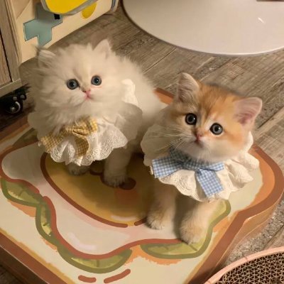 Khalicslox's profile picture. ロンドン・スクール・オブ・エコノミクスを卒業しました。新興通貨への投資、フィットネスとヨガ、ゴルフと水泳、車と食べ物、旅行と読書が好きです。ツイートは英語と日本語で随時更新します。誰か私の日本語の練習を手伝ってくれると嬉しいです。日本旅行の予定です。