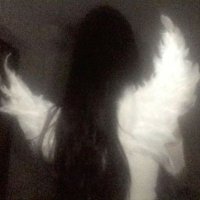 oblivious (@fourmaldays) 's Twitter Profile Photo oblivious (@fourmaldays) 's Twitter Profile Photo