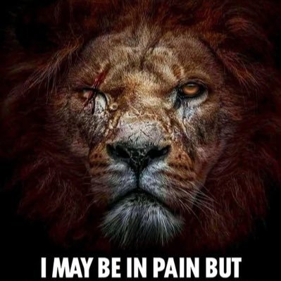 mic42671's profile picture. 