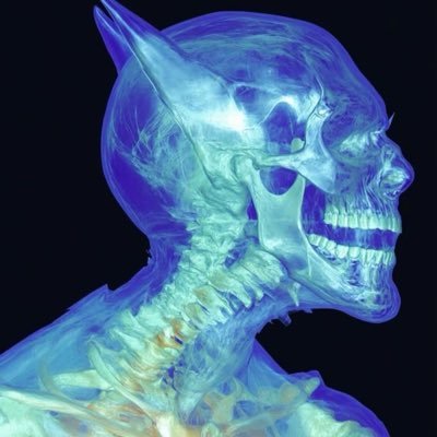 wildinbel's profile picture. https://t.co/bvreCQGXYn