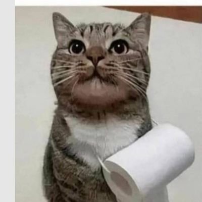 @AndreSalgadoE04