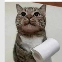 André. (@andresalgadoe04) 's Twitter Profile Photo