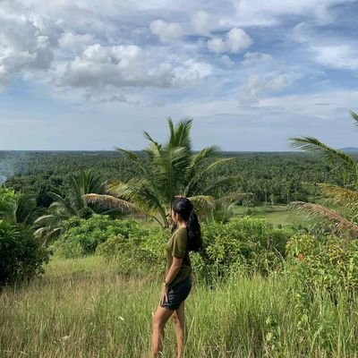 toffecook's profile picture. i am a silk field of vulnerability