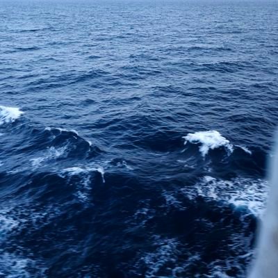 garyyy585398's profile picture. 