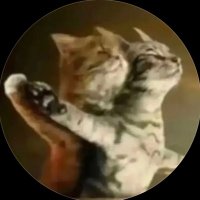lau (@_quowy) 's Twitter Profile