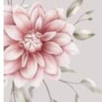 زهرة الزهرة🌷 (@dim202222) Twitter profile photo