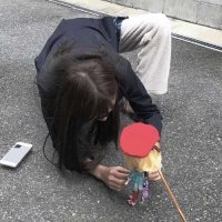 Maple (@9gv1ftr2b71vb) 's Twitter Profile