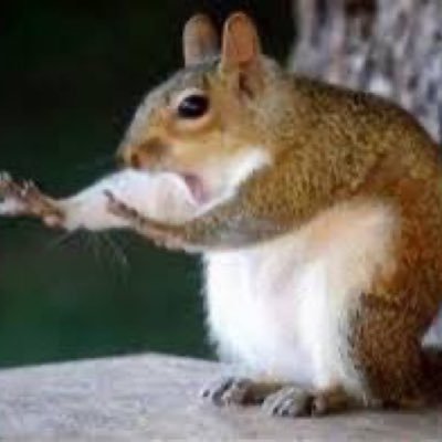 MitchCLE's profile picture. evan mobley saved me