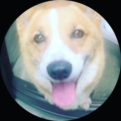 junko8753's profile picture. 何も知らずに幻想のお花畑の中で生きてきました😭🙏コロナ騒動に強烈な違和感を感じ人類初の遺伝子ワクチン推奨に恐怖を覚え調べ始めて驚愕‼️コロナ騒動は序章にしか過ぎず…。
世界が💦日本が💦とてつもなく深い闇に覆われている‼️😱
改憲には断固反対します‼️
未来を担う子供達に独裁国家はいらない‼️