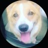 junko8753's profile picture. 何も知らずに幻想のお花畑の中で生きてきました😭🙏コロナ騒動に強烈な違和感を感じ人類初の遺伝子ワクチン推奨に恐怖を覚え調べ始めて驚愕‼️コロナ騒動は序章にしか過ぎず…。
世界が💦日本が💦とてつもなく深い闇に覆われている‼️😱
改憲には断固反対します‼️
未来を担う子供達に独裁国家はいらない‼️