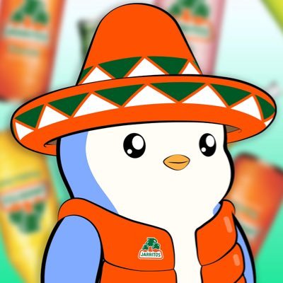 usama_n's profile picture. 