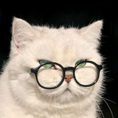 tiassintia97541's profile picture. 