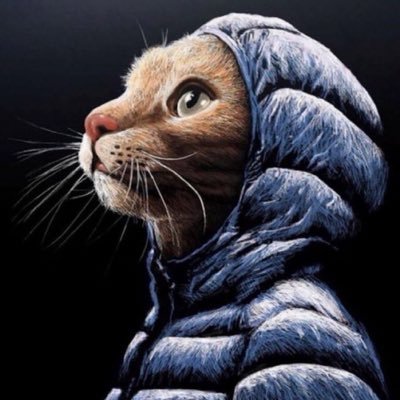 vons pubisさんのプロフィール画像