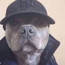 Tad Clark - @tad17232 - Twitter