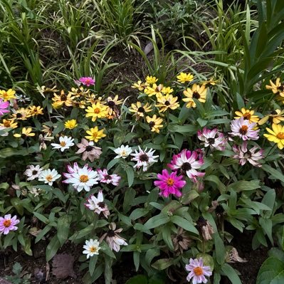 tane196326579's profile picture. 