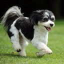 Steve Novick - @NovickSteve - Twitter