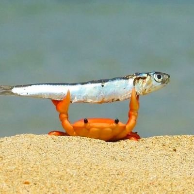 _kkch_'s profile picture. 헐... 그럼 롹앤롤이네요?