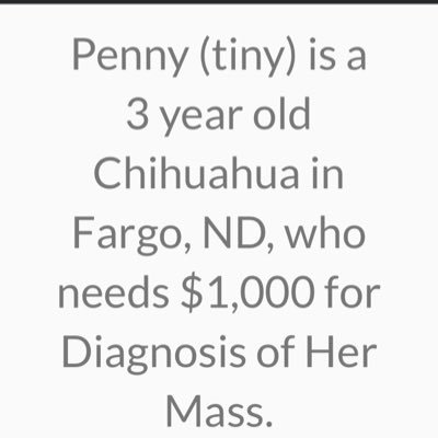 profile made to help get support from generous people who are willing to donate to our tiny girl! she’s in need of medical care!