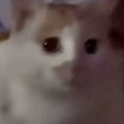 ssjj79589's profile picture. 