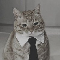 Carbon (@pencilsalterego) 's Twitter Profile