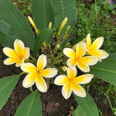 ItaDara46565's profile picture. 