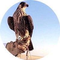 وهم (@3nla1) 's Twitter Profile