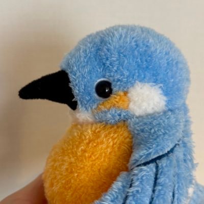 kawasemi_mom's profile picture. 30代後半。不妊治療経て妊娠→2025/4/27に緊急帝王切開で第一子となる女の子を出産 月齢近い人や境遇近い人フォローさせてください🙏 #不妊治療 #初産 #高齢出産 #帝王切開 #共働き