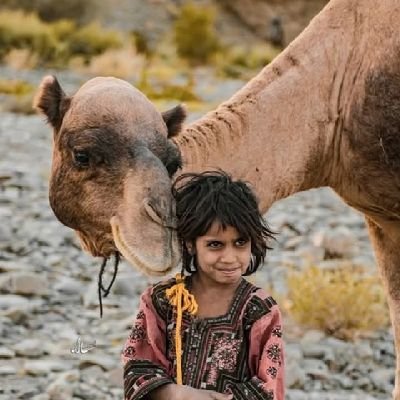 BashamB89631840's profile picture. 