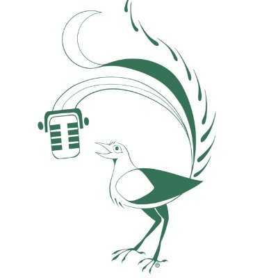 Indie studio specializing in directing, dubbing, casting and production
Australian Founded 🇦🇺
Business Inquiries: studiolyrebirds@gmail.com