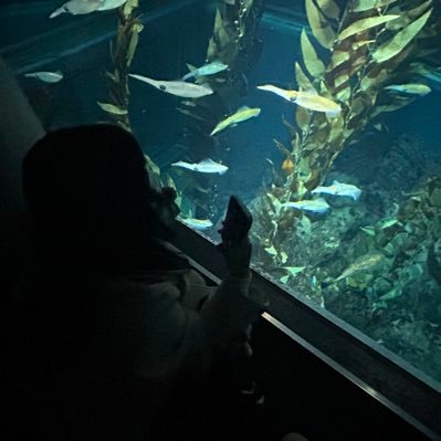 2_qlnx's profile picture. ECC_IoT部 29卒