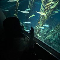 あやね (@2_qlnx) 's Twitter Profile