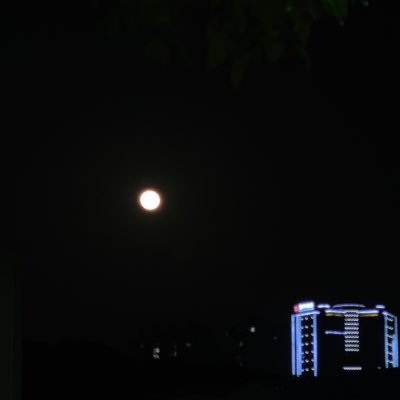 zfdn446953's profile picture. 