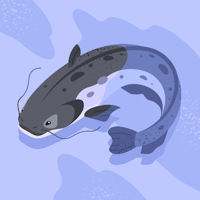 muY2JmDX7u66156's profile picture. クジラの堂々たる泳ぎと貫禄に感動です。
よろしくお願いいたします。