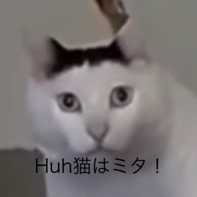 カウピーオダッティE シンフォバカ Profile