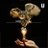 USG_AKG_HORMONE