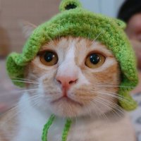 Jo (@jamj0) 's Twitter Profile