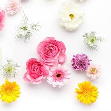 bellesbelly07's profile picture. ミニマルライフを目指しているアラフィフです。歌うことが好きです。