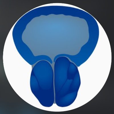BEM TOP Profile